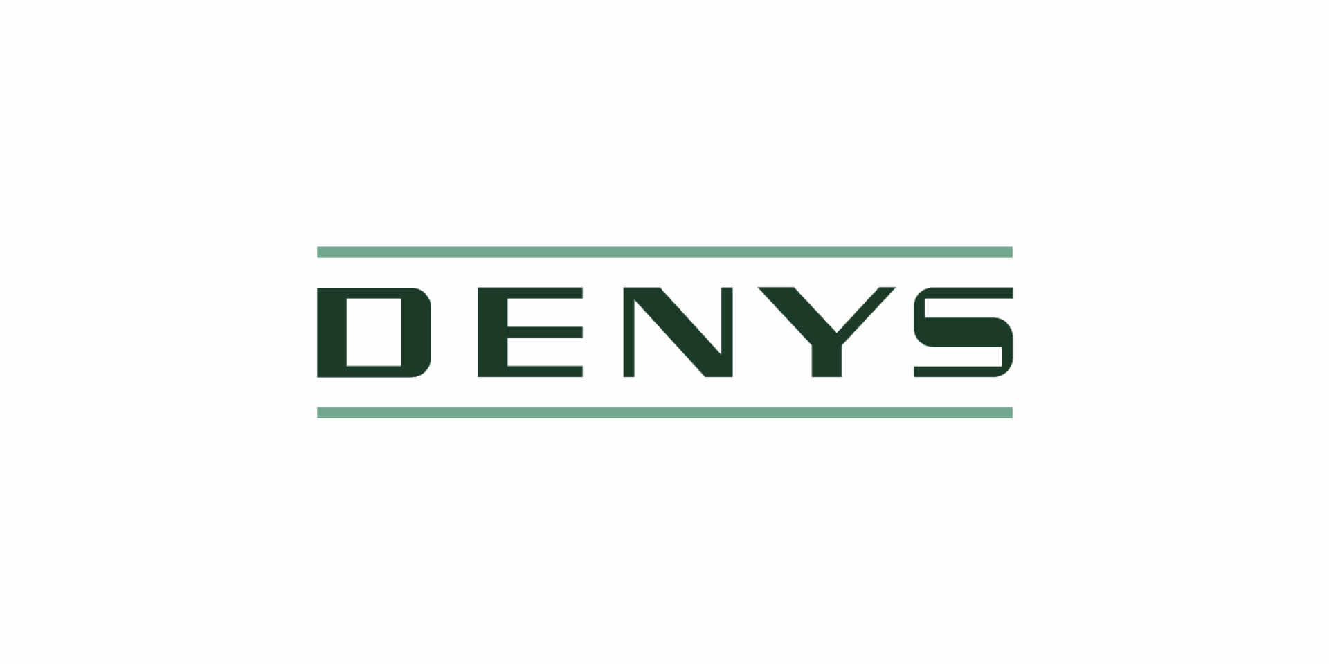 Denys logo